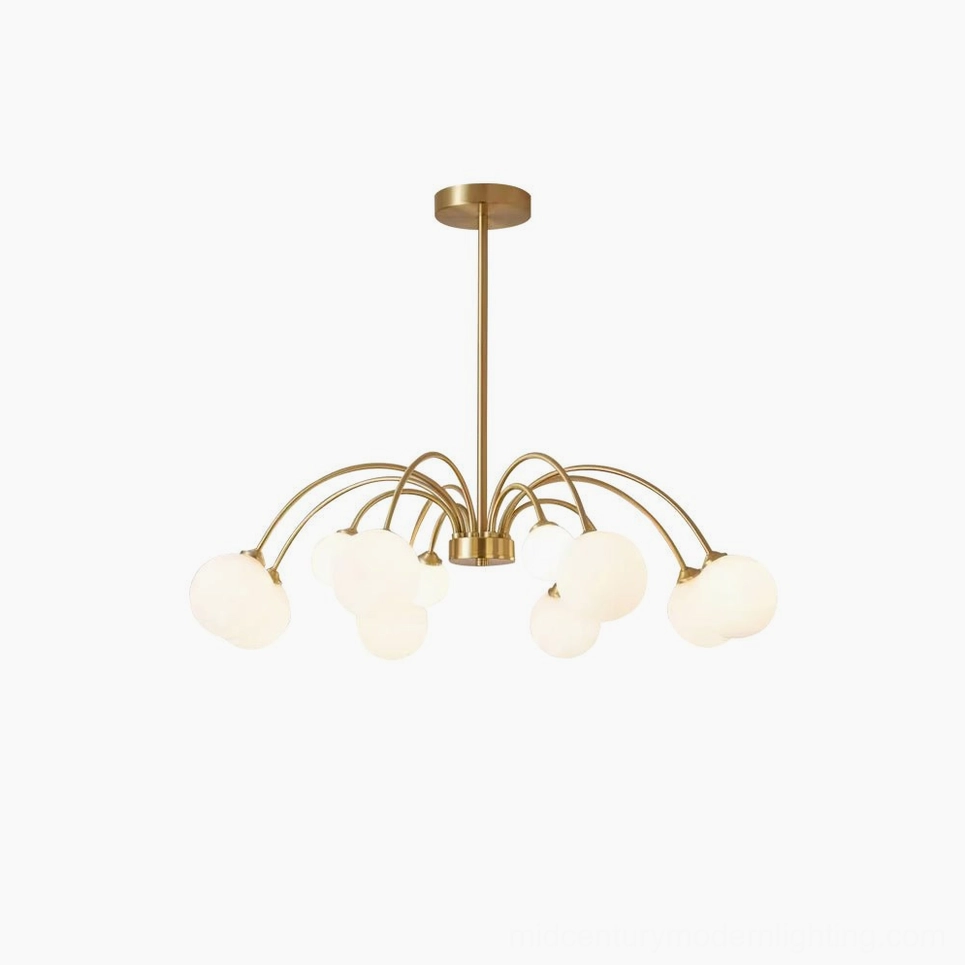 Apiales chandelier artistic overhead view emphasizing geometric cluster design and botanical inspiration