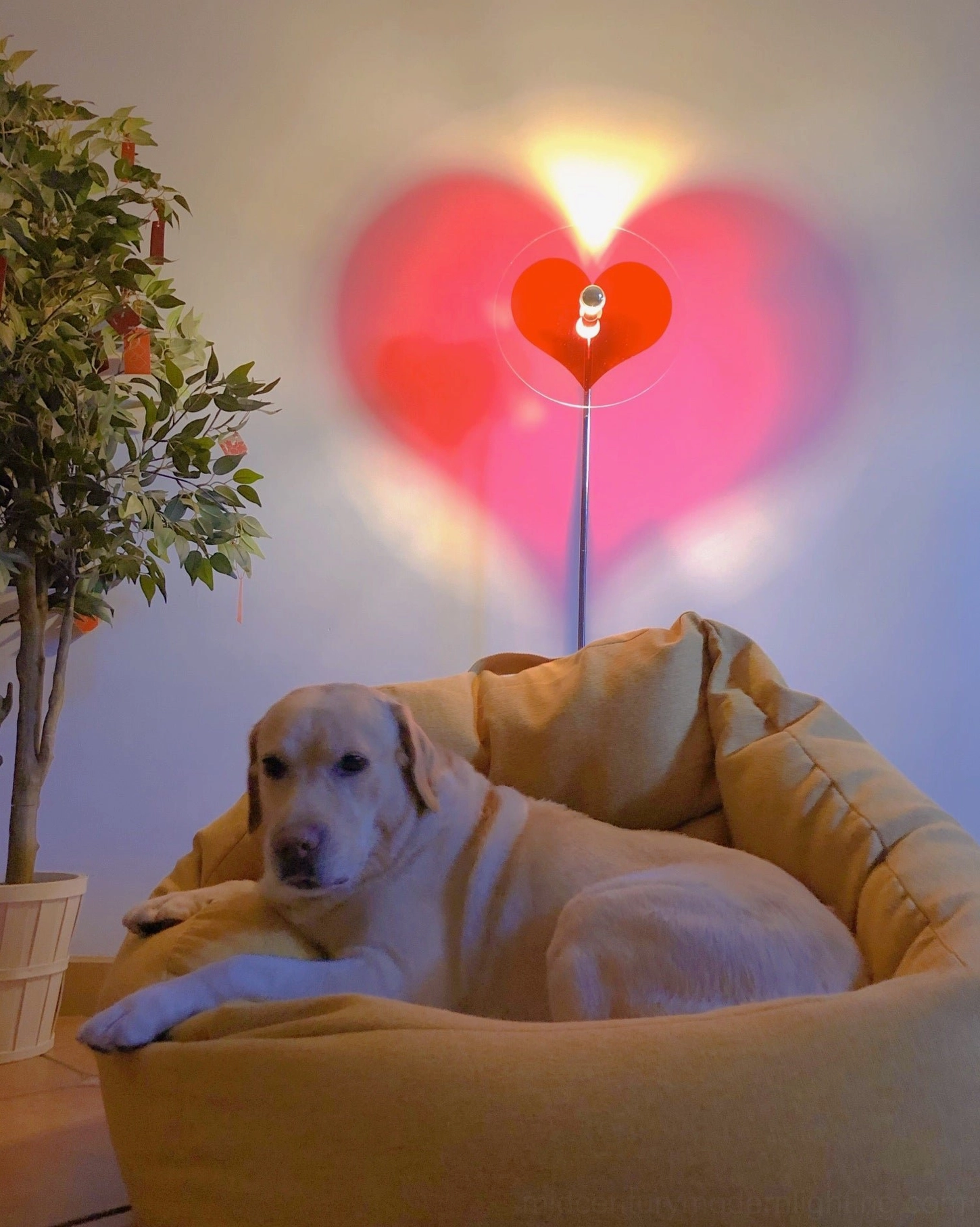 Heart-shaped floor lamp with red projection creating artistic focal point for modern interior design