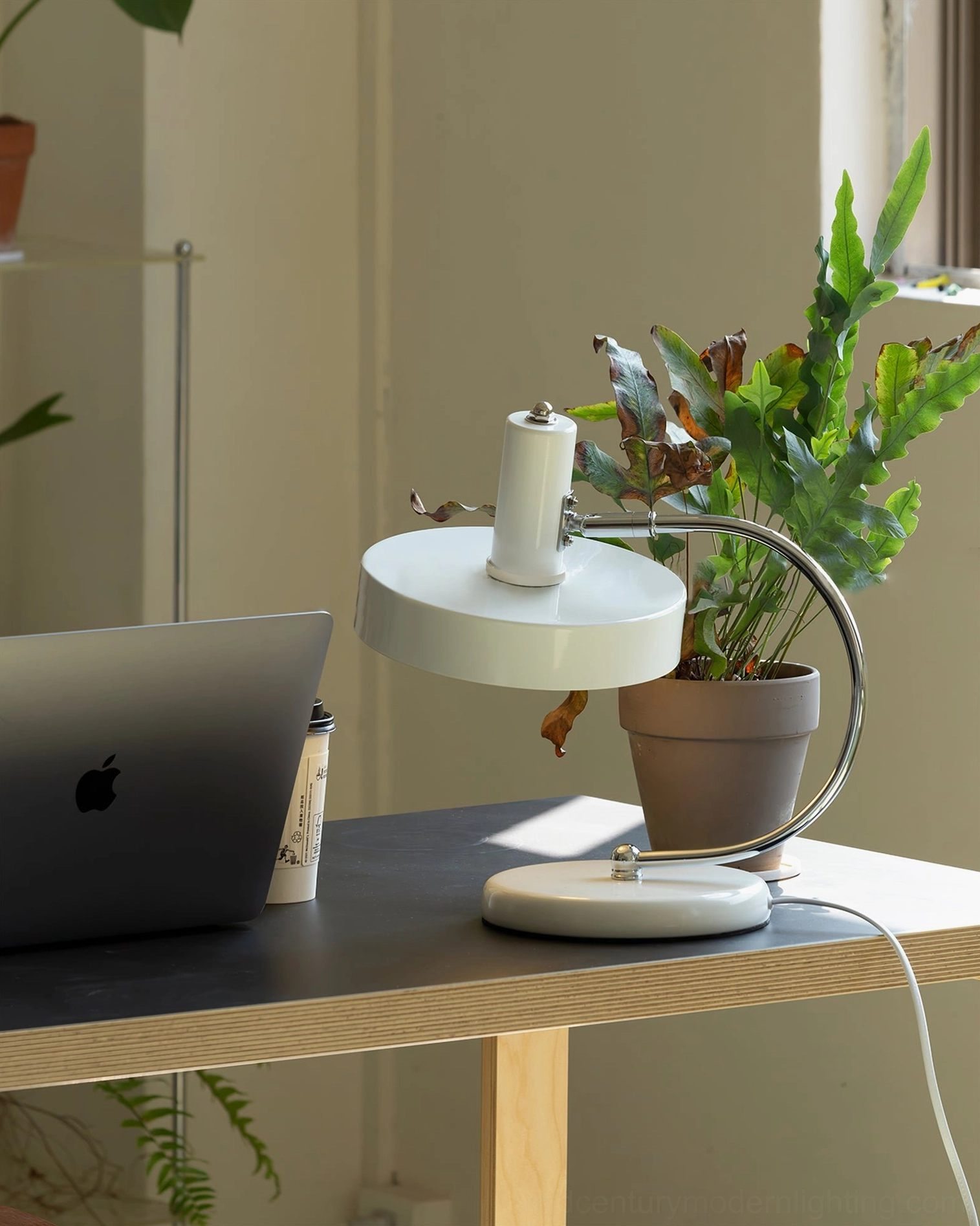 Brano modern table lamp on desk with laptop and green plant, contemporary workspace