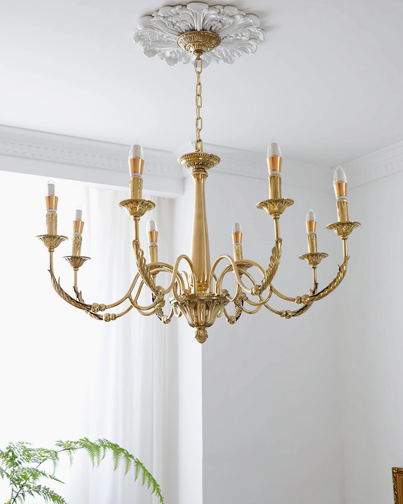 Classic European brass candle chandelier in bright white room with green plant and matching ceiling medallion