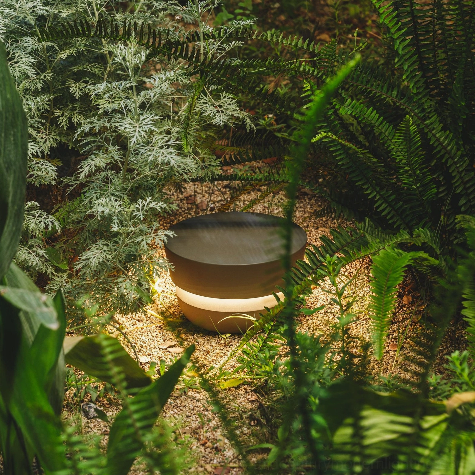 Dots solar outdoor lamp embedded in garden with fern foliage - warm ambient light glow in landscape setting