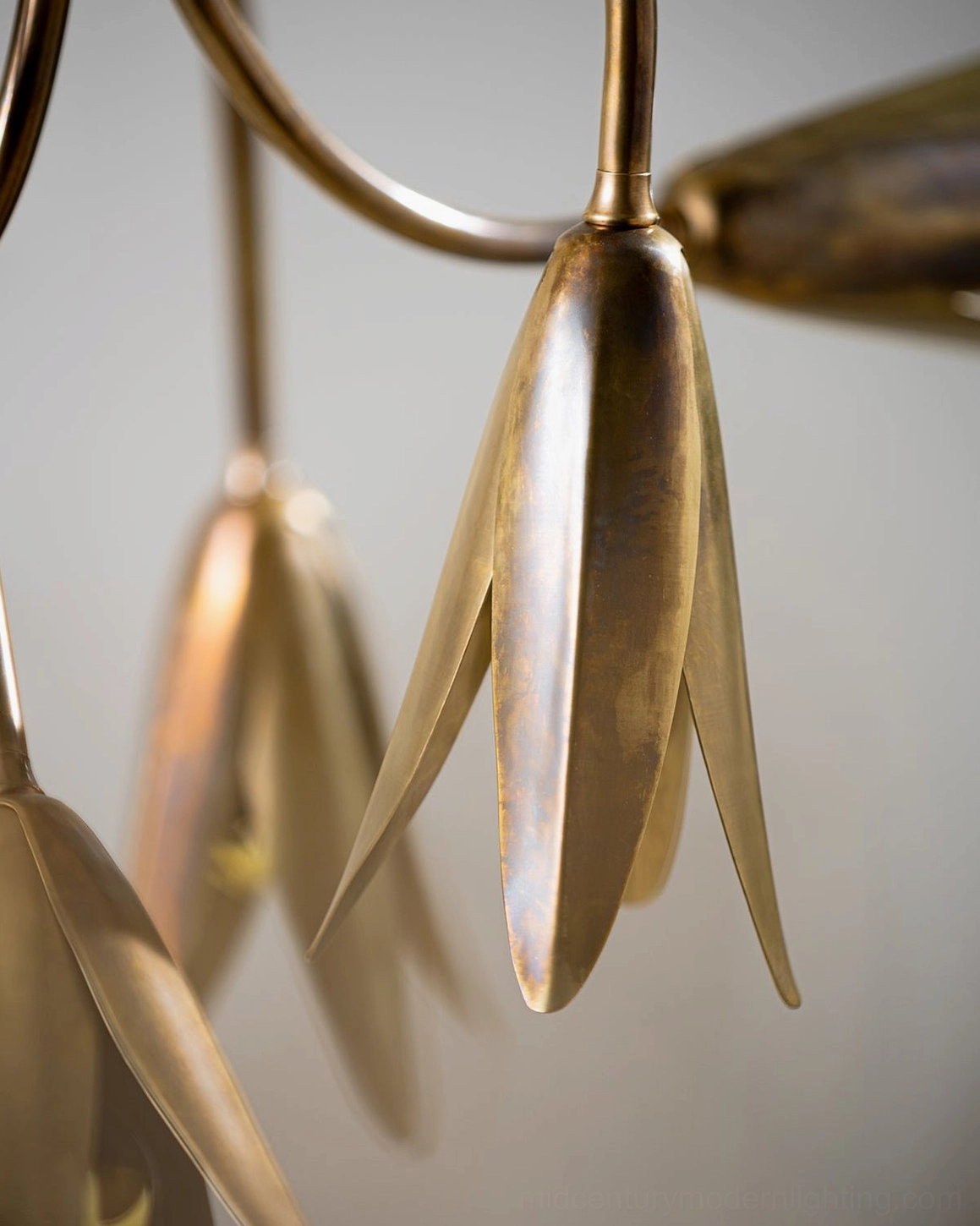 Evadne brass tulip chandelier macro close-up of polished antique brass metal texture and tulip bud details