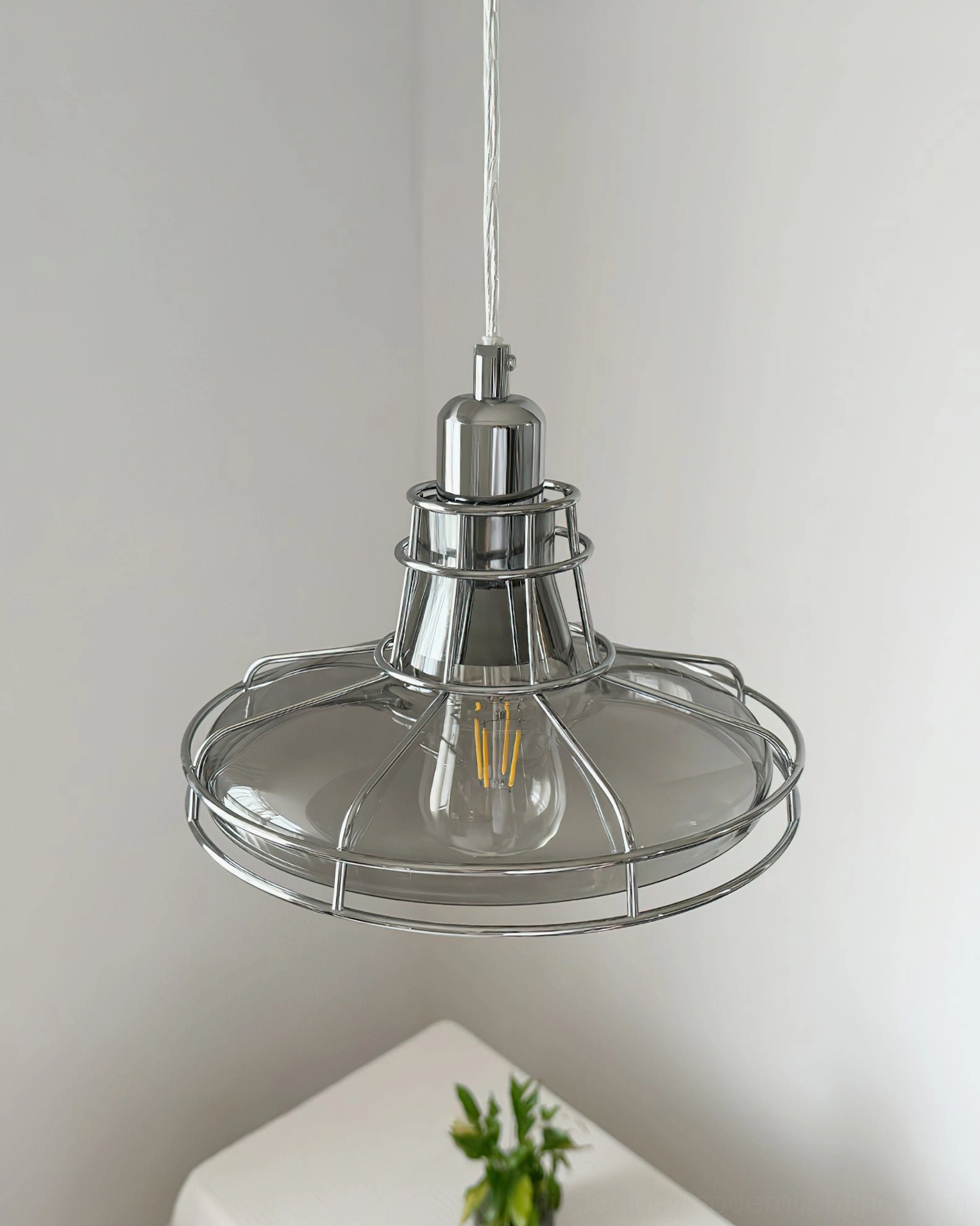 Industrial pendant lamp with circular metal guard and transparent glass shade, low angle frontal view with tabletop plants
