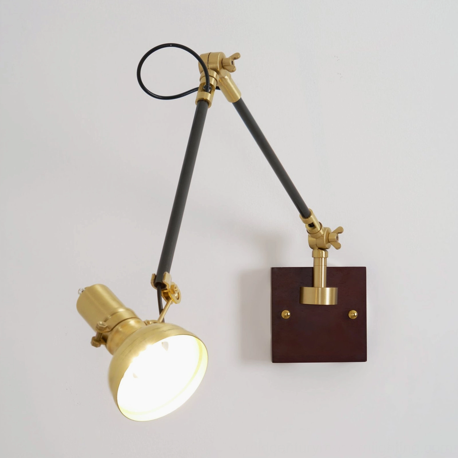 Kane Swing Arm Wall Lamp complete assembly with brass arm, walnut backplate, dome shade