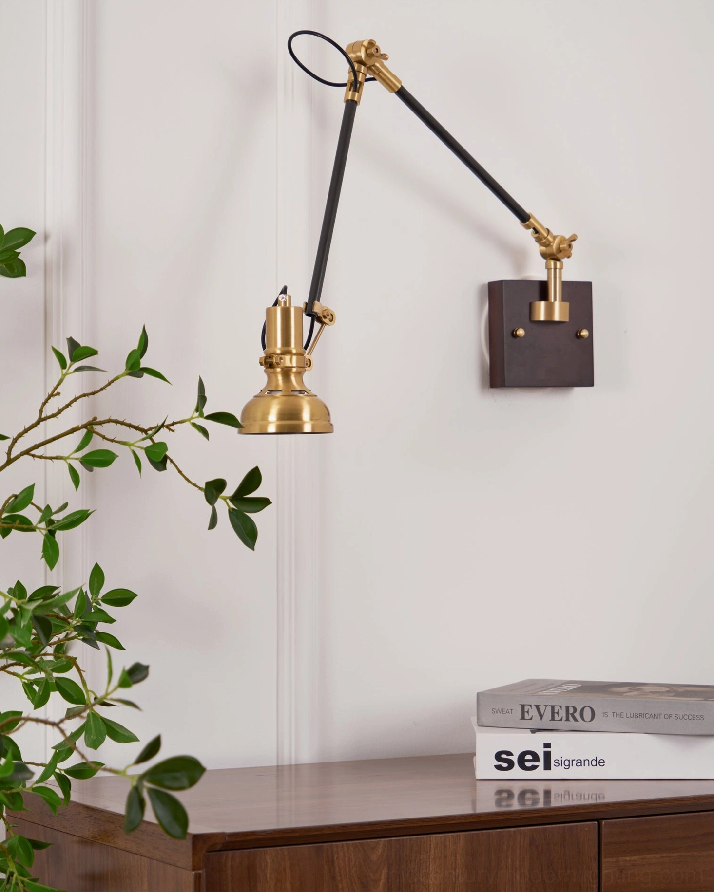 Kane Swing Arm Wall Lamp positioned above workspace with books and green plants