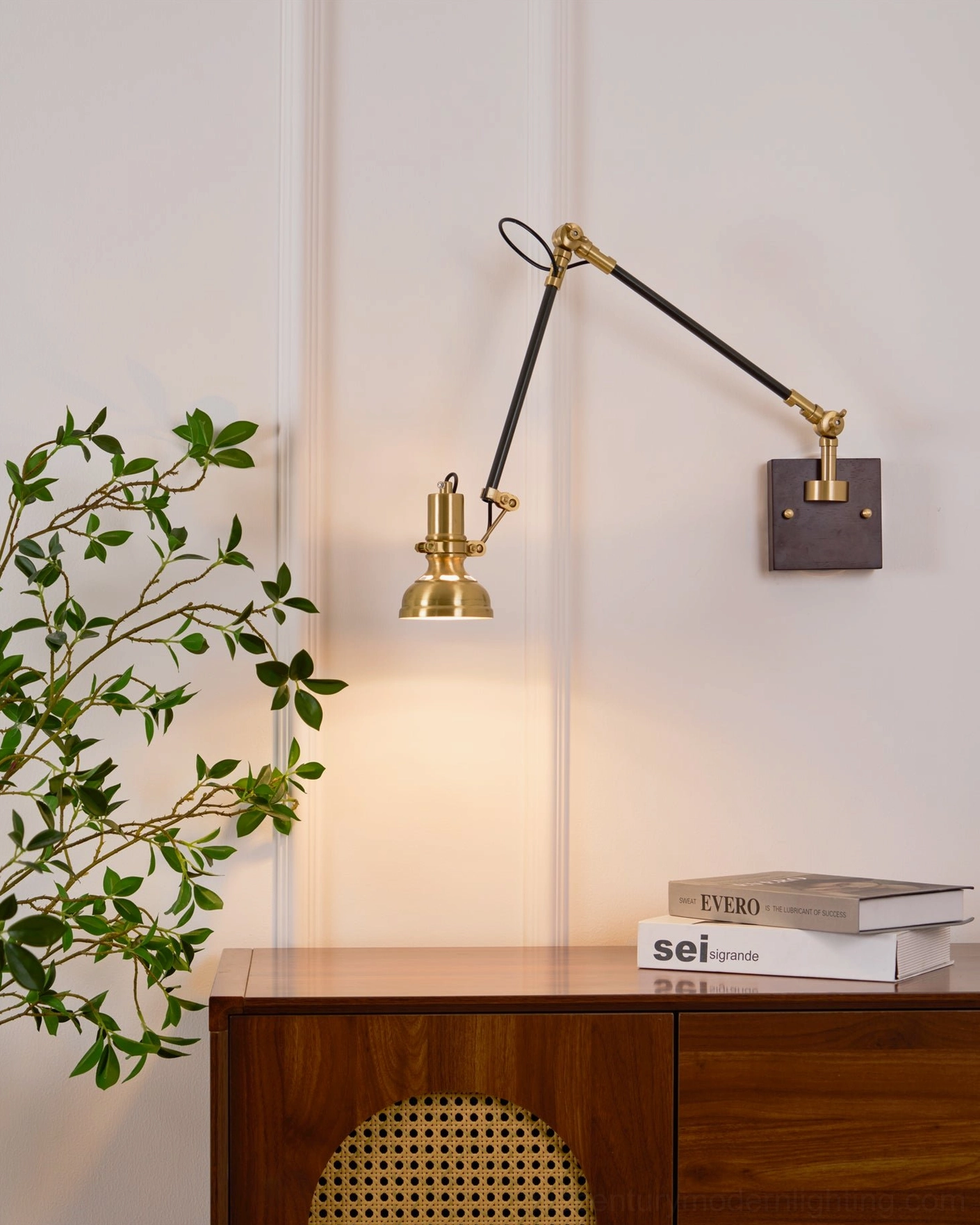 Kane Swing Arm Wall Lamp mounted above entryway table with books and potted plants