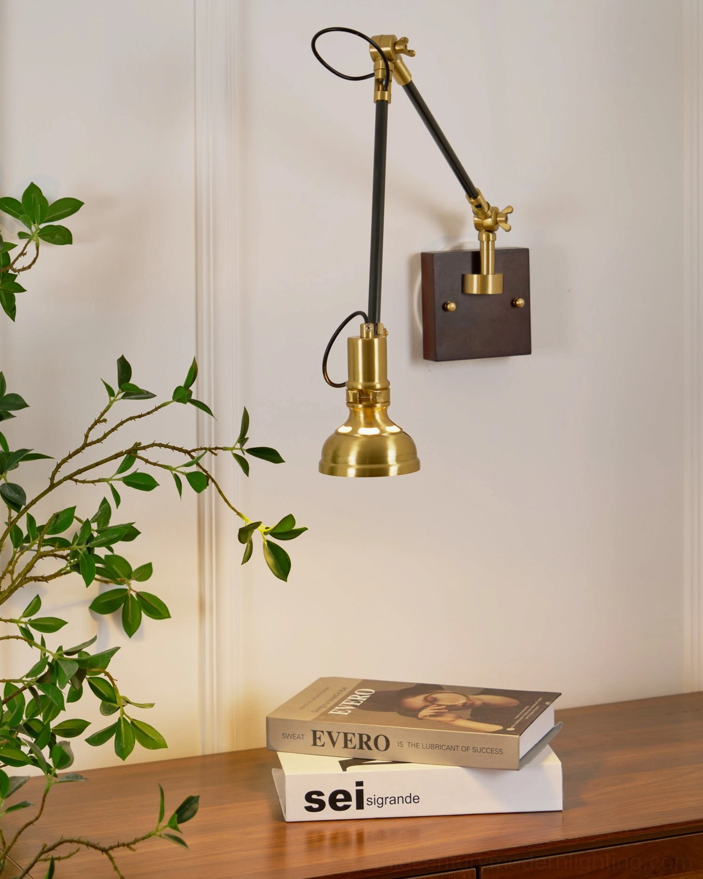 Kane Swing Arm Wall Lamp side profile view showing articulated brass arm and adjustment range