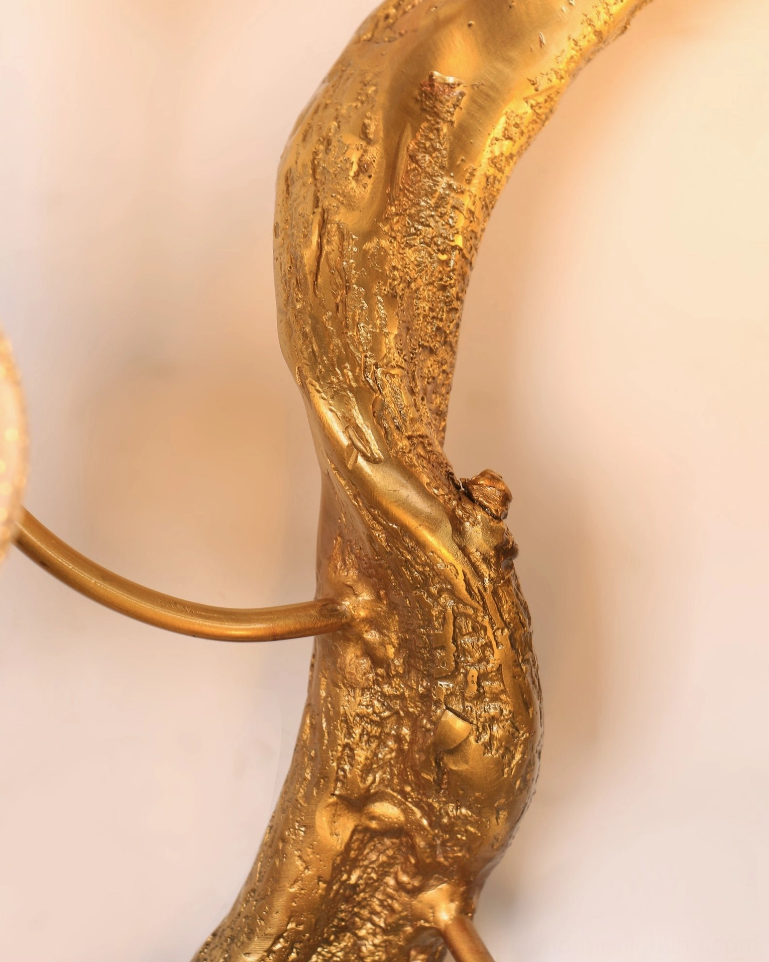 Lotus brass wall lamp side view detail of textured brass finish and metal fixture arm