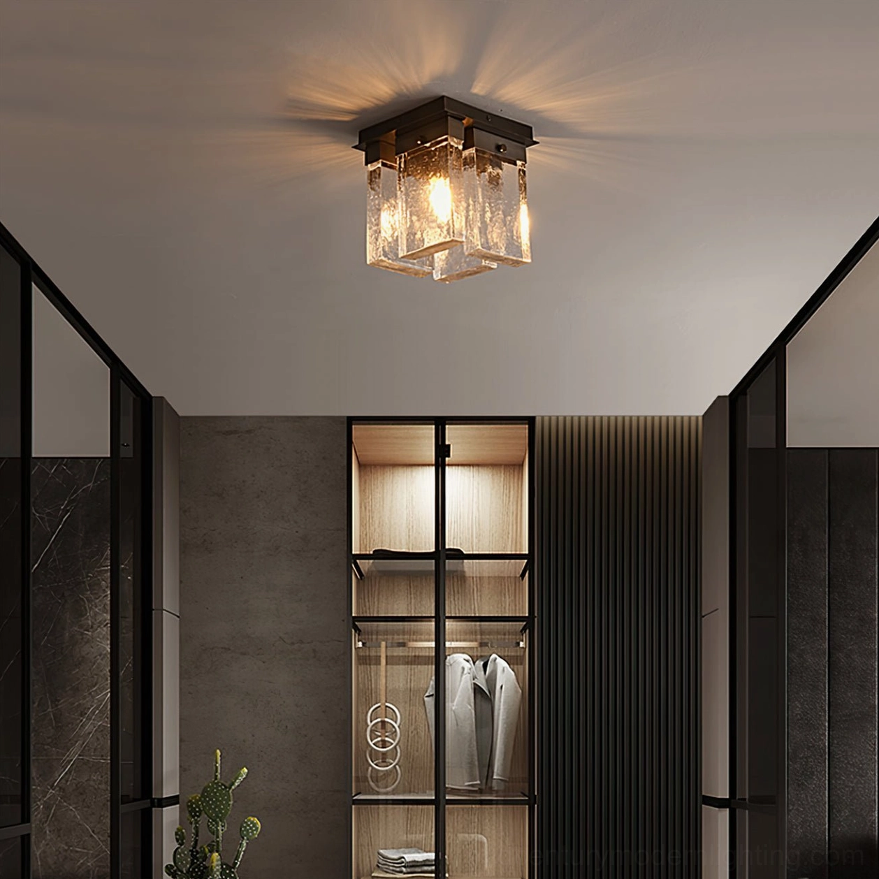 Contemporary walk-in closet with black ceiling flush mount light fixture, minimalist home decor