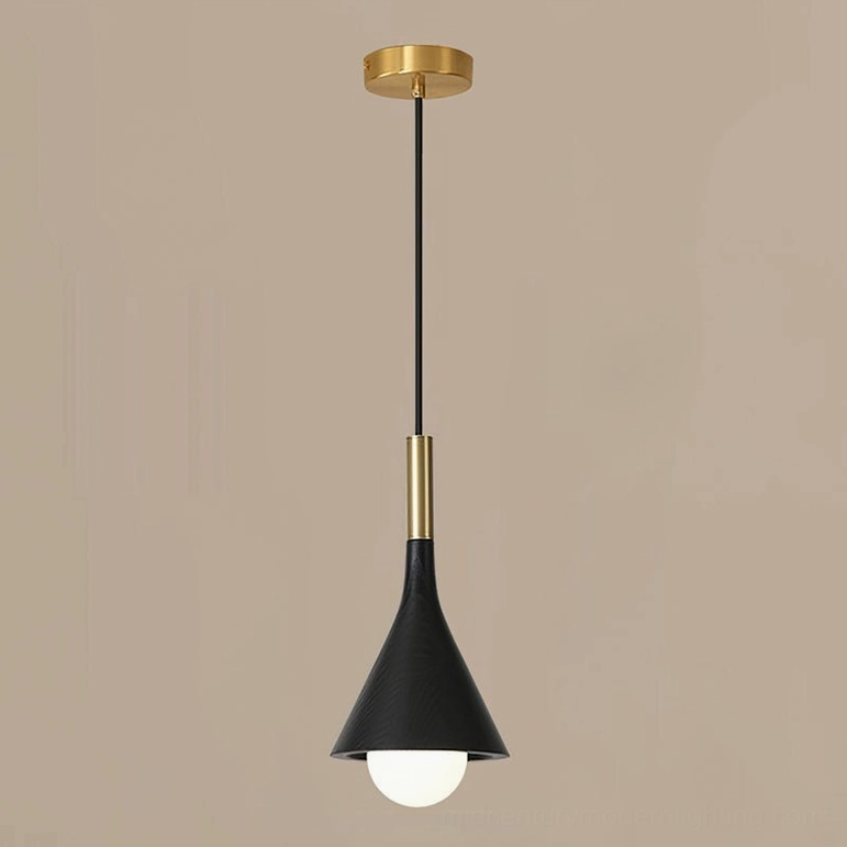 Lucian black and brass pendant light architectural detail photograph