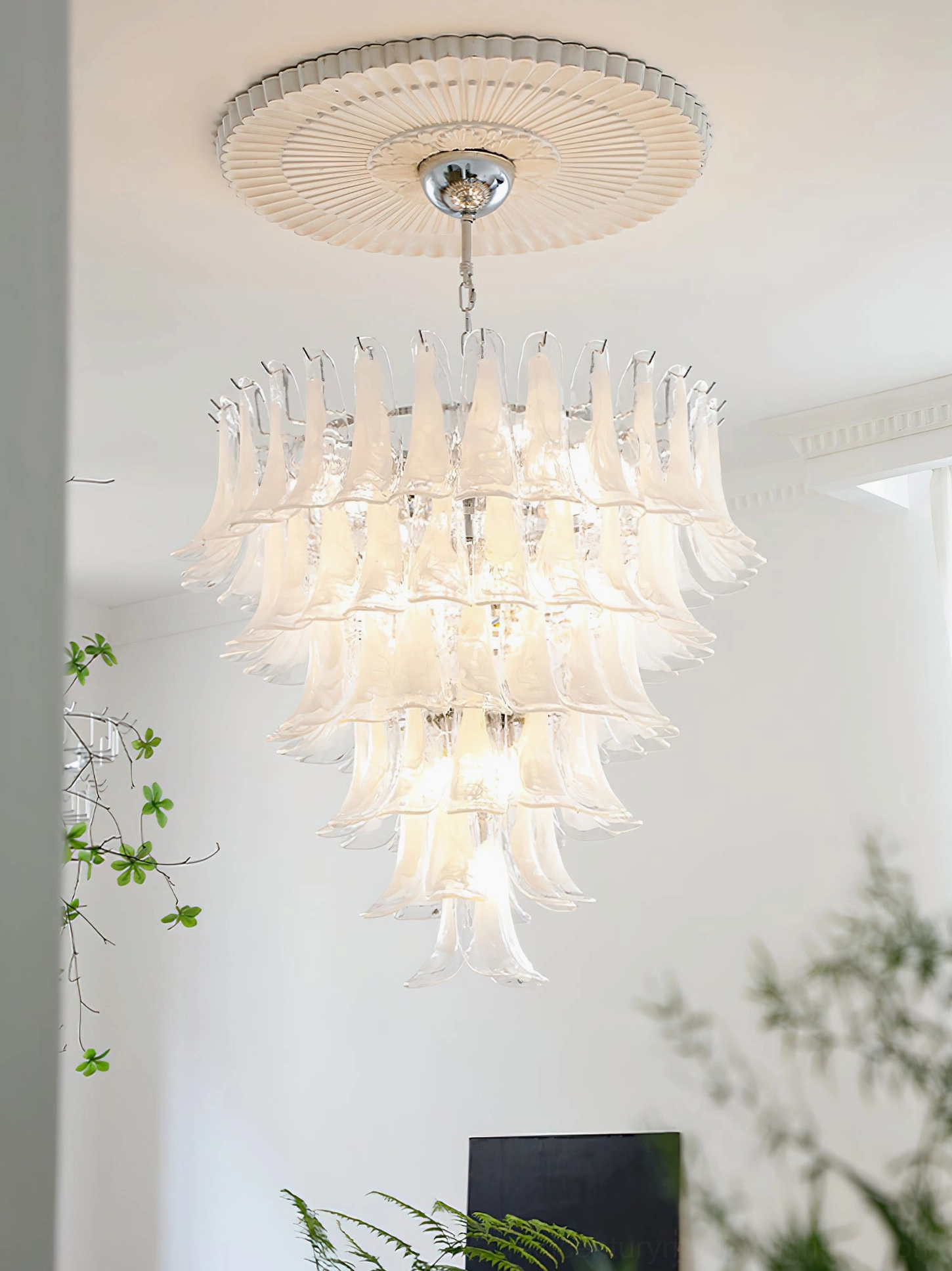 Murano petal chandelier multiple glass color variations showcase