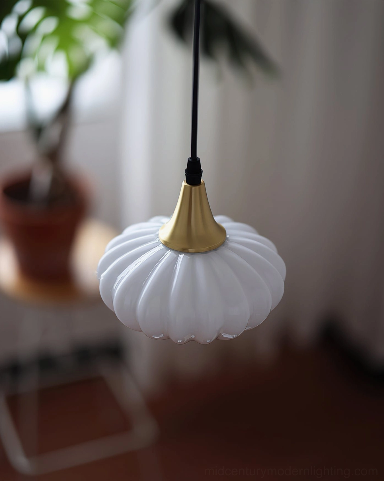 Rayburn pumpkin pendant light with brass hardware in cozy home setting with potted plant and sheer curtains
