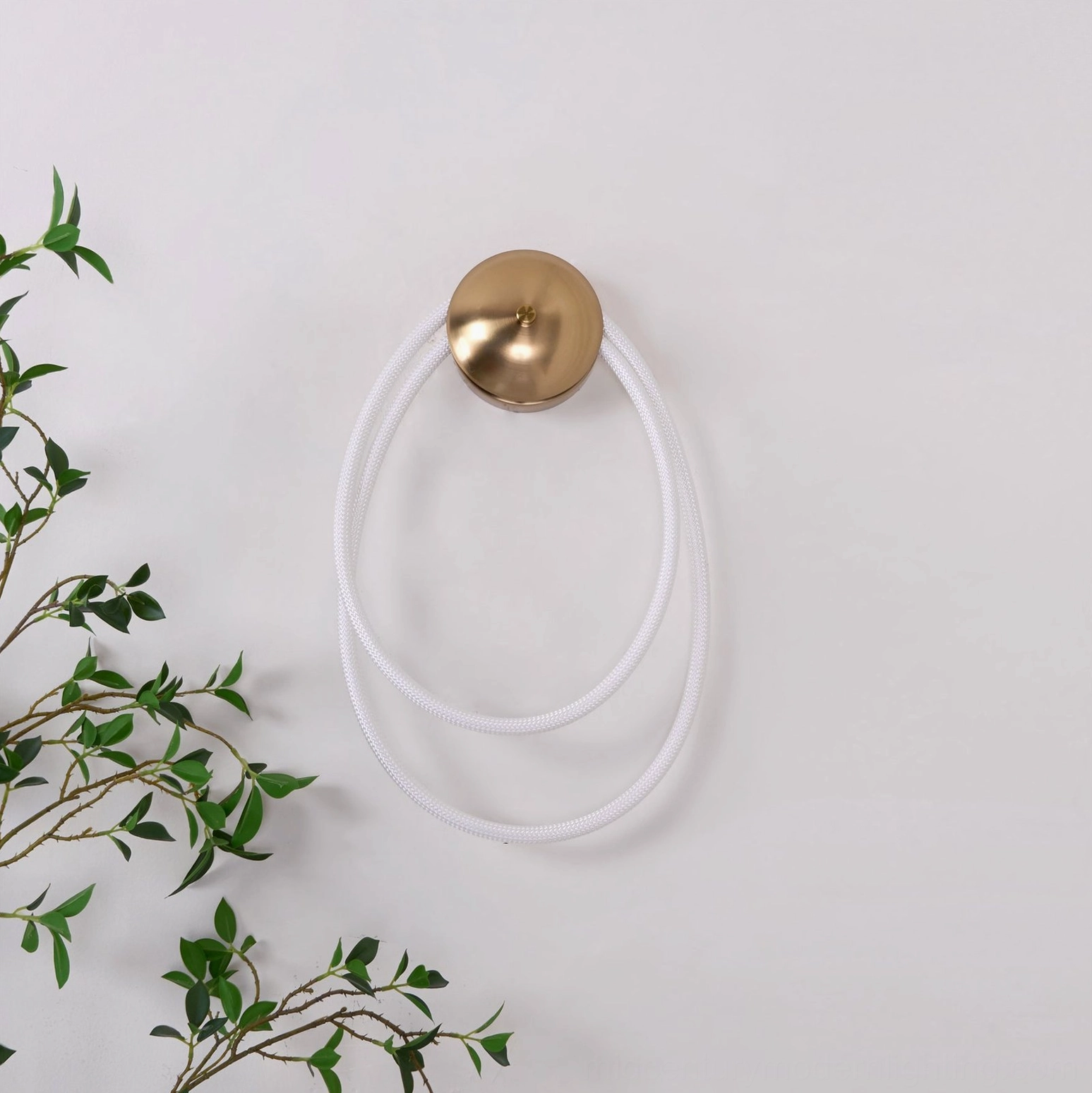 Rigel single-loop rope wall lamp unlit front view with brass round mount and green plant setting