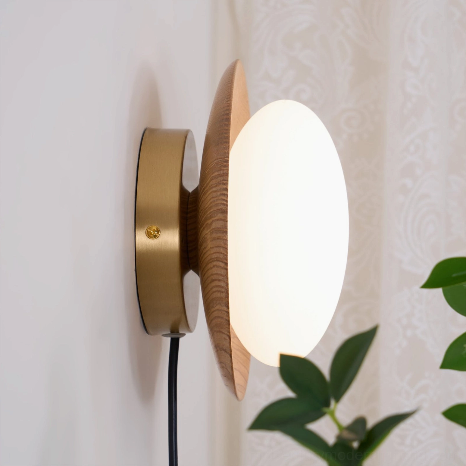 Illuminated Tablet wall lamp with brass base and glowing frosted glass shade in botanical interior setting with green plants