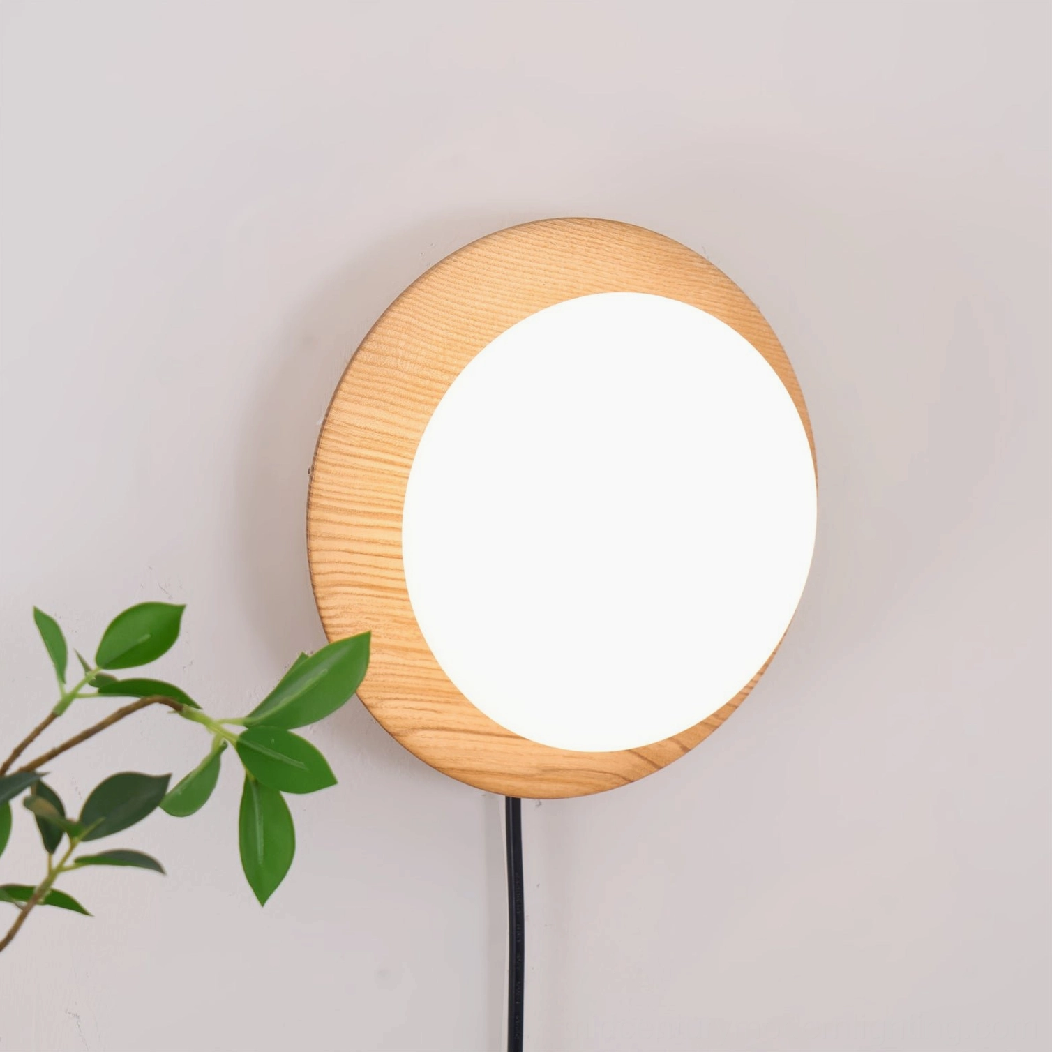 Tablet plug-in wall lamp with warm glowing frosted shade and natural wood grain frame in modern interior with green plants