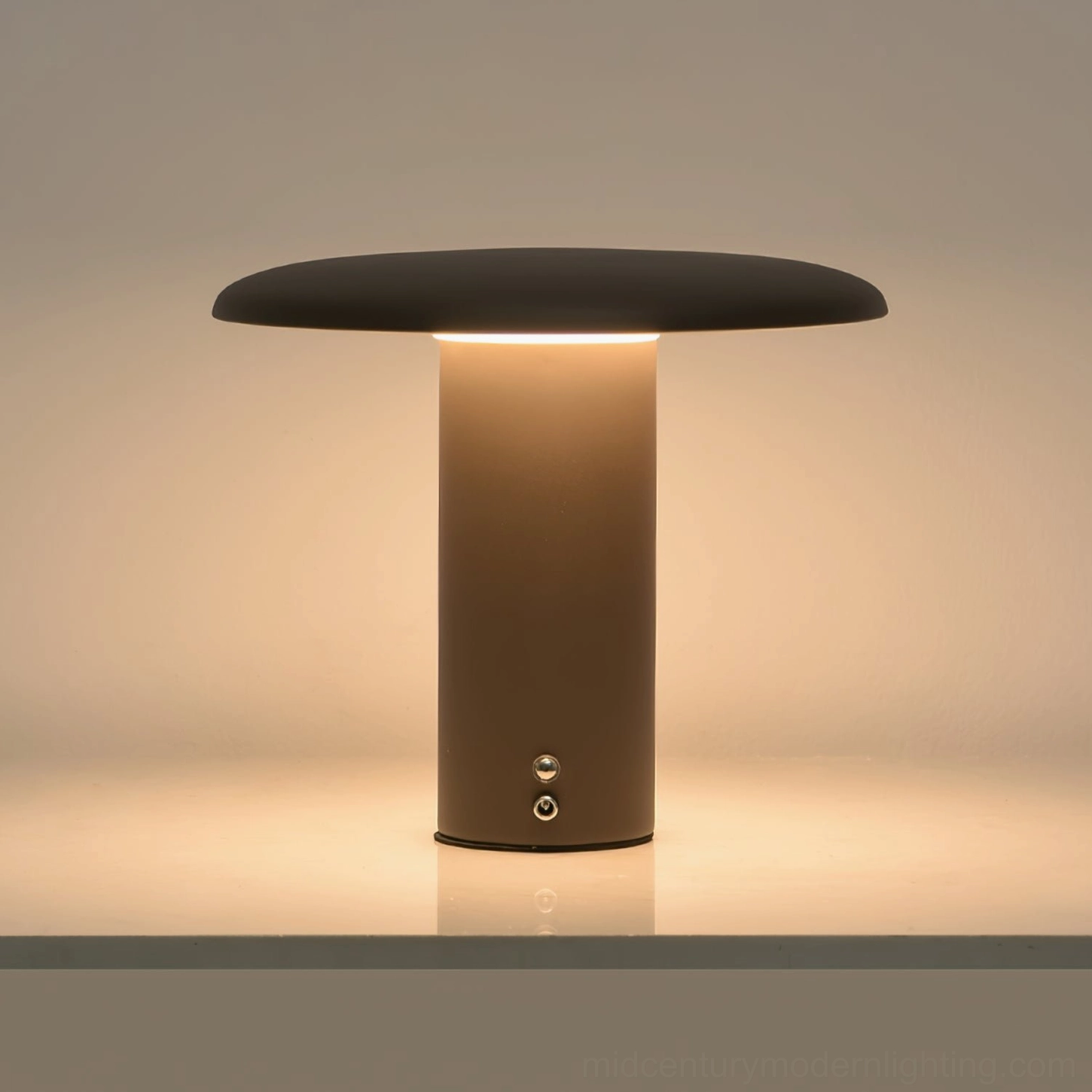Takku portable cordless mushroom lamp showing compact lightweight design and metal acrylic construction