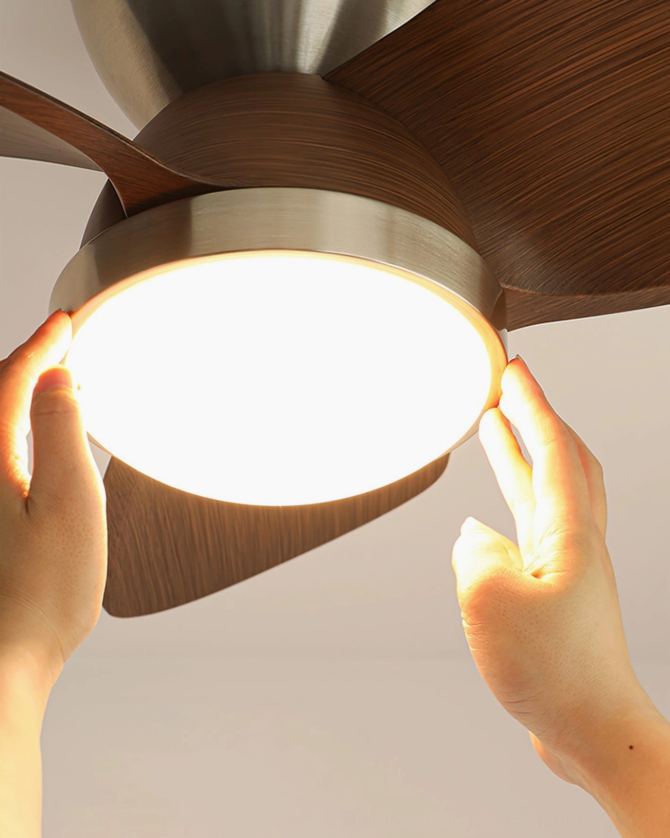 Talaya 24 inch ceiling fan light dimensions and specifications with brushed nickel motor housing