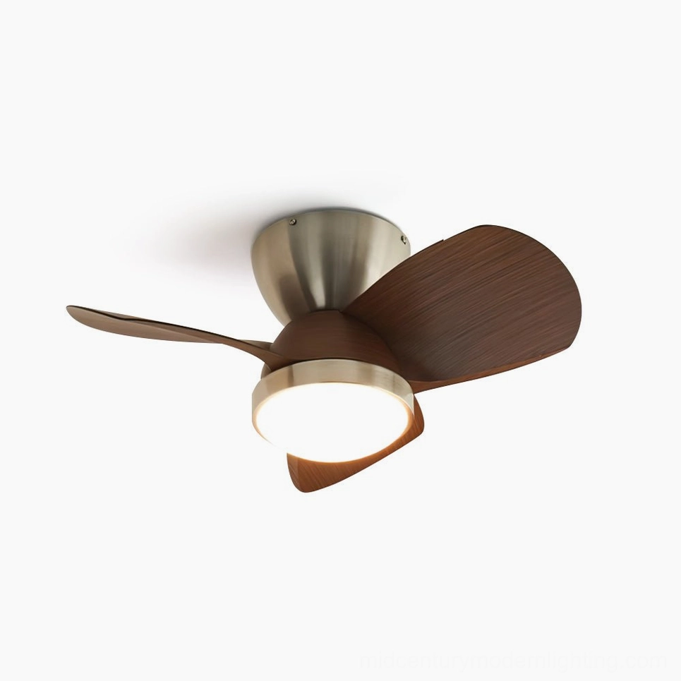 Talaya modern ceiling fan light with integrated LED, 24 inch diameter walnut and brushed nickel finish - studio product view