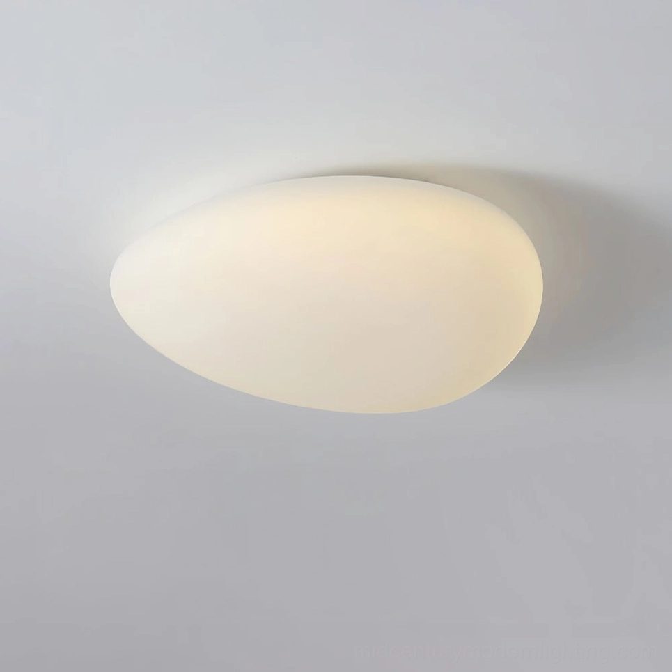Toan LED ceiling fixture detail view showing metal base, integrated LED module, and PE diffuser dome
