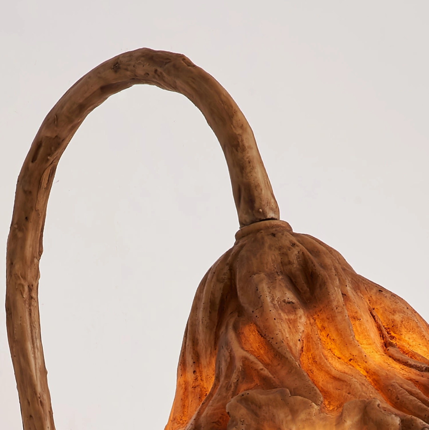 Volcano wall lamp partial close-up showing wrinkled petal-like shade texture and curved wood-like mounting arm