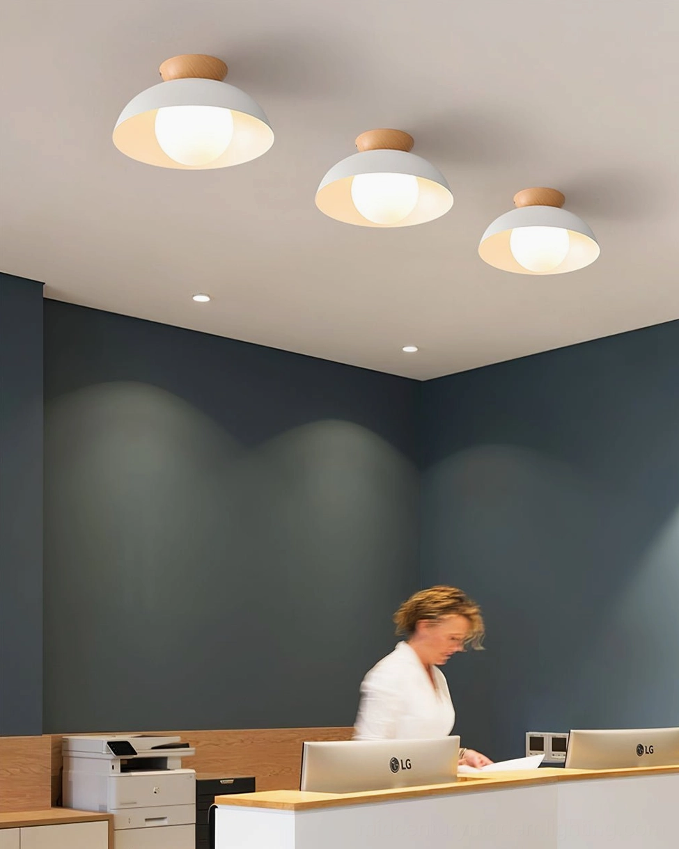 Volo ceiling lamps in commercial office space - minimalist Nordic reception area design
